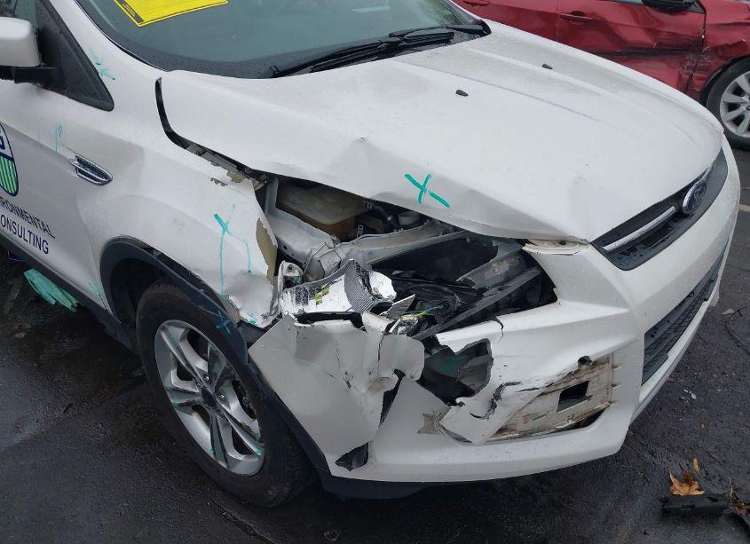 Photo 6 of 2016 Ford Escape SE (VIN 1FMCU9GXXGUB90977)