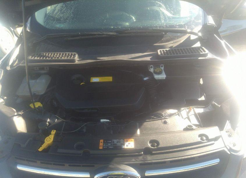 Photo 10 of 2016 Ford Escape SE (VIN 1FMCU9GXXGUC08149)