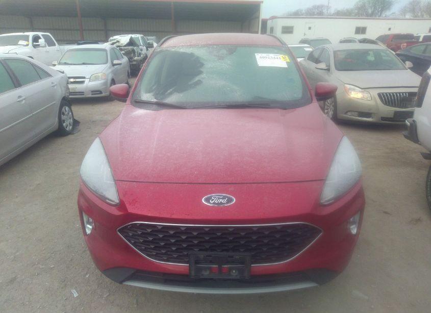 Photo 12 of 2020 Ford Escape SEL (VIN 1FMCU9H61LUA55841)