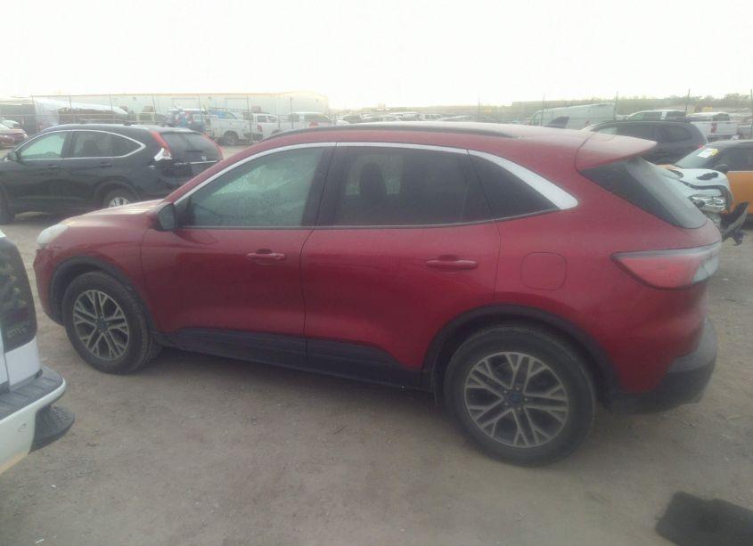 Photo 14 of 2020 Ford Escape SEL (VIN 1FMCU9H61LUA55841)