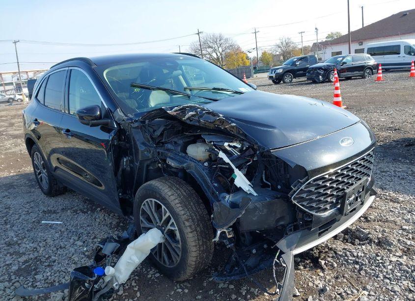 2020 Ford Escape SEL (VIN 1FMCU9H61LUA72381) main photo