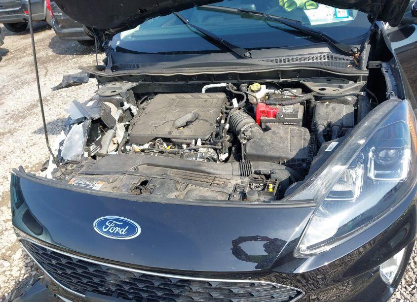 Photo 10 of 2020 Ford Escape SEL (VIN 1FMCU9H61LUA72381)