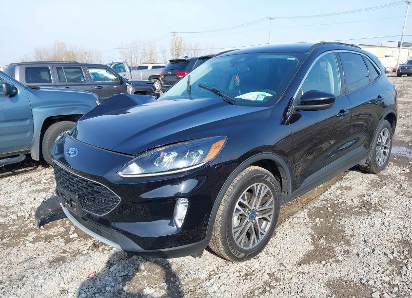 Photo 2 of 2020 Ford Escape SEL (VIN 1FMCU9H61LUA72381)