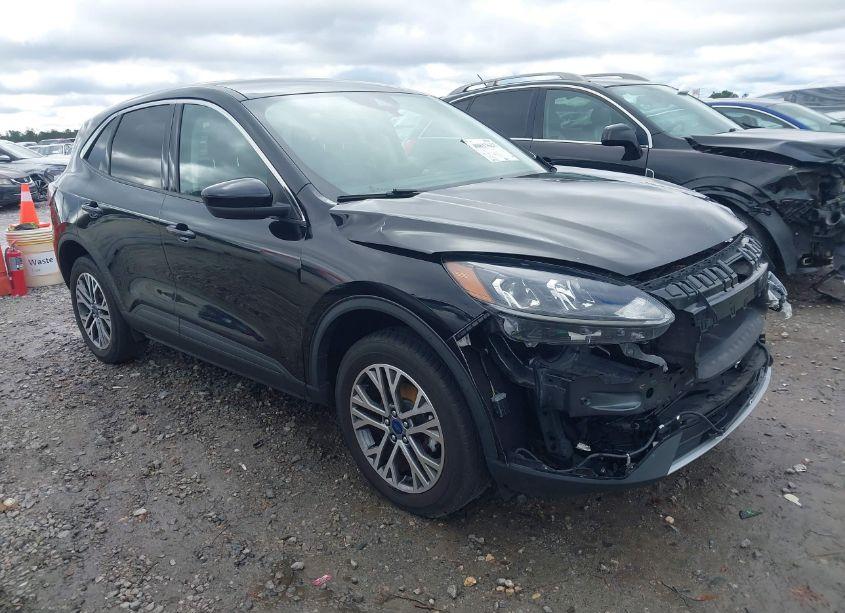 2022 Ford Escape SEL (VIN 1FMCU9H61NUA83223) main photo