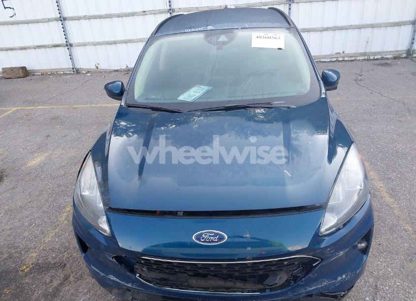 Photo 12 of 2020 Ford Escape SEL (VIN 1FMCU9H63LUB65547)