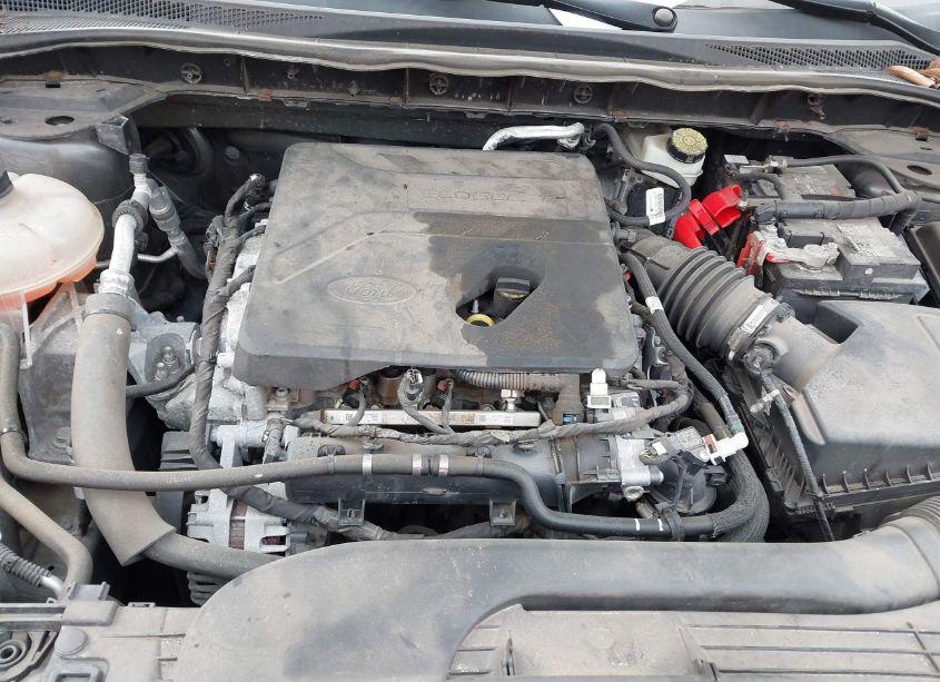 Photo 10 of 2020 Ford Escape SEL (VIN 1FMCU9H64LUA65344)