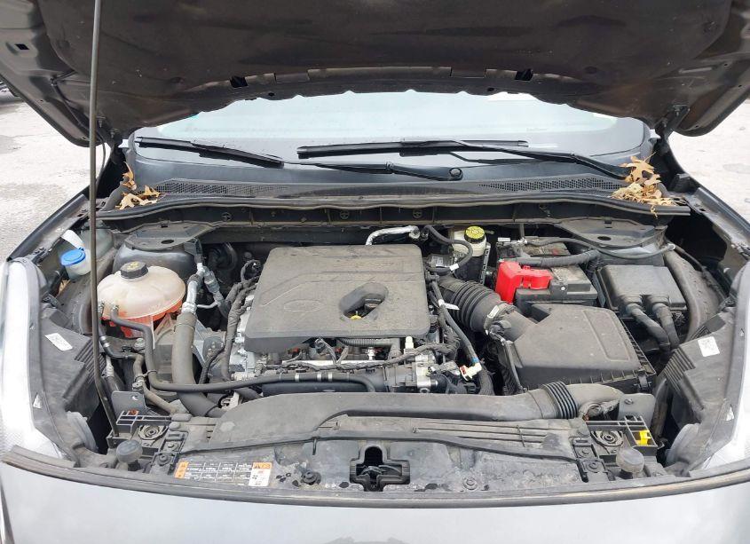 Photo 10 of 2020 Ford Escape SEL (VIN 1FMCU9H64LUA76621)