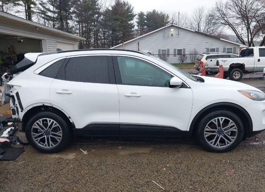 Photo 14 of 2020 Ford Escape SEL (VIN 1FMCU9H64LUA85707)