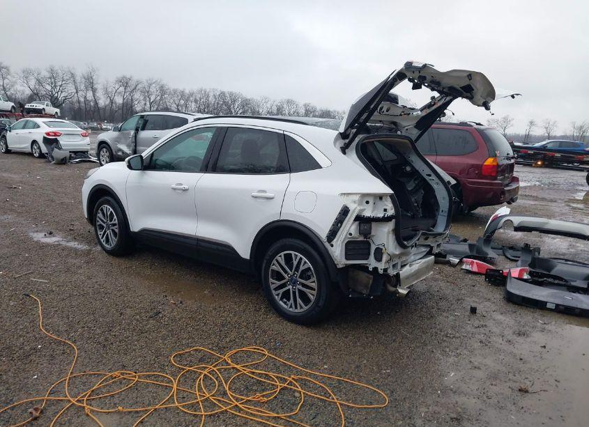 Photo 3 of 2020 Ford Escape SEL (VIN 1FMCU9H64LUA85707)