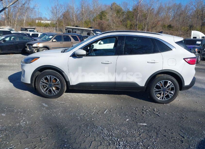 Photo 14 of 2020 Ford Escape SEL (VIN 1FMCU9H64LUB10069)