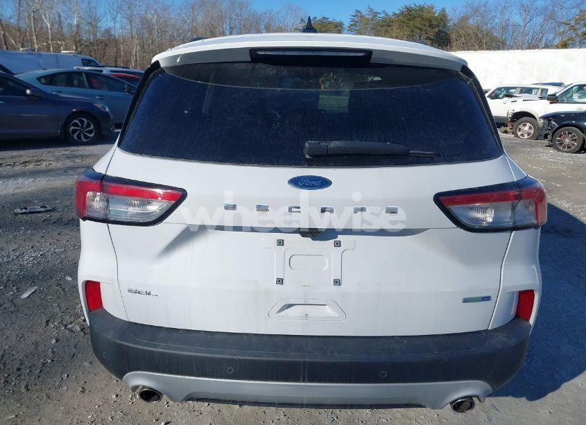 Photo 16 of 2020 Ford Escape SEL (VIN 1FMCU9H64LUB10069)