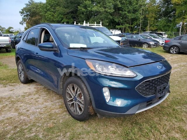 Photo 10 of 2020 FORD ESCAPE SEL (VIN 1FMCU9H65LUA89989)
