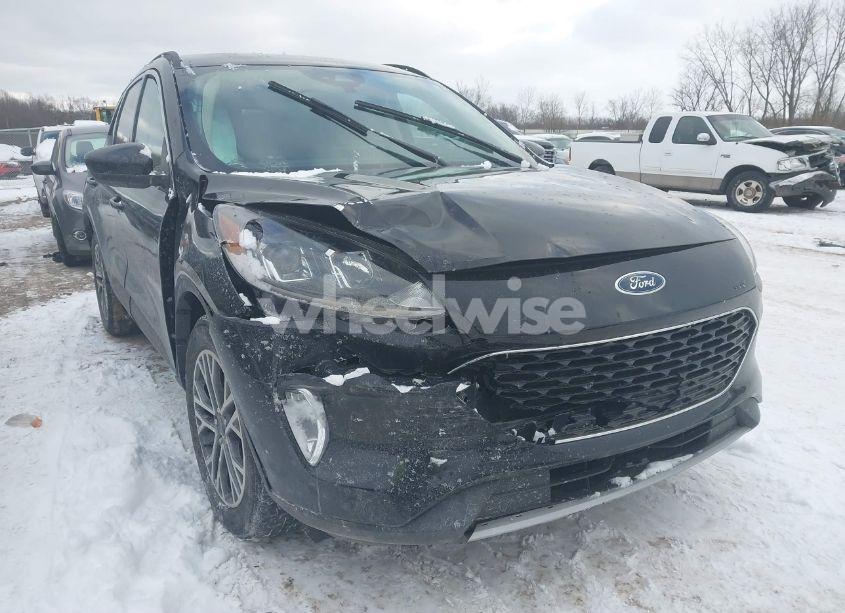 2020 Ford Escape SEL (VIN 1FMCU9H66LUA29963) main photo