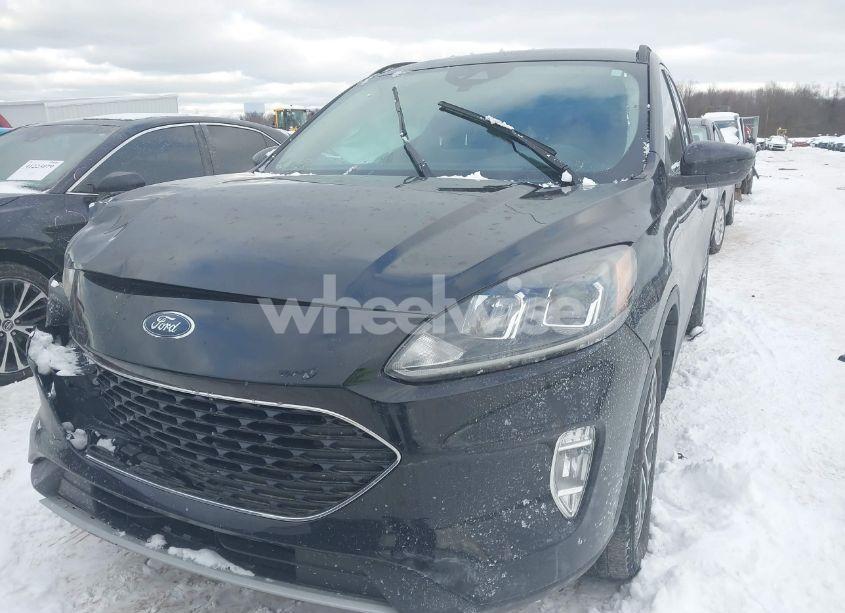 Photo 2 of 2020 Ford Escape SEL (VIN 1FMCU9H66LUA29963)