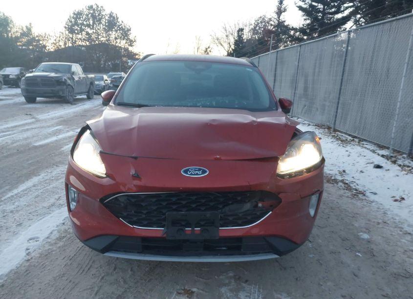 Photo 12 of 2020 Ford Escape SEL (VIN 1FMCU9H66LUA49663)