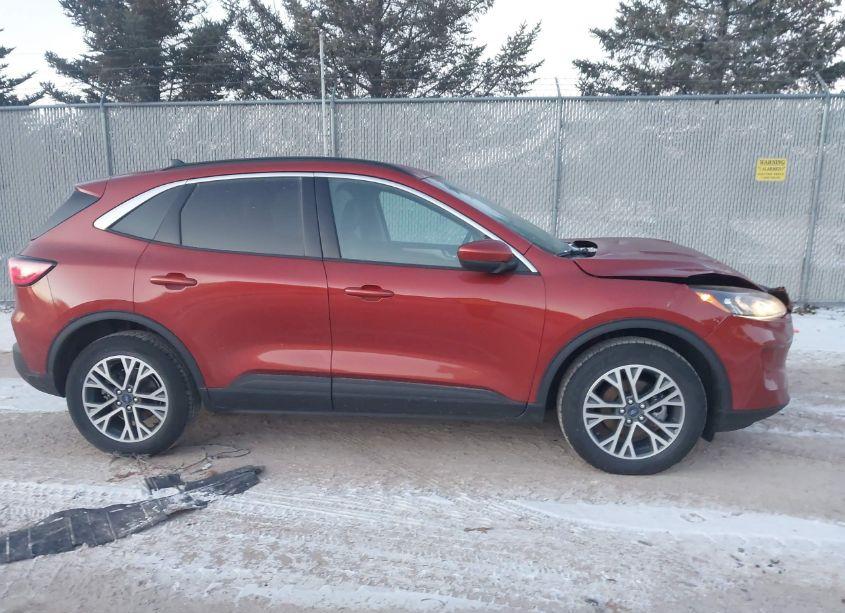 Photo 13 of 2020 Ford Escape SEL (VIN 1FMCU9H66LUA49663)