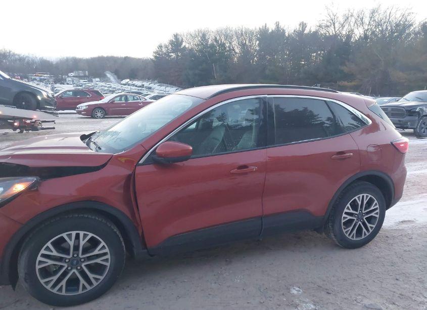 Photo 14 of 2020 Ford Escape SEL (VIN 1FMCU9H66LUA49663)