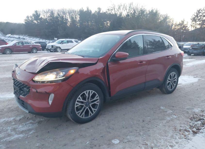 Photo 2 of 2020 Ford Escape SEL (VIN 1FMCU9H66LUA49663)