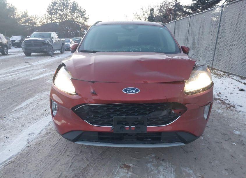 Photo 6 of 2020 Ford Escape SEL (VIN 1FMCU9H66LUA49663)