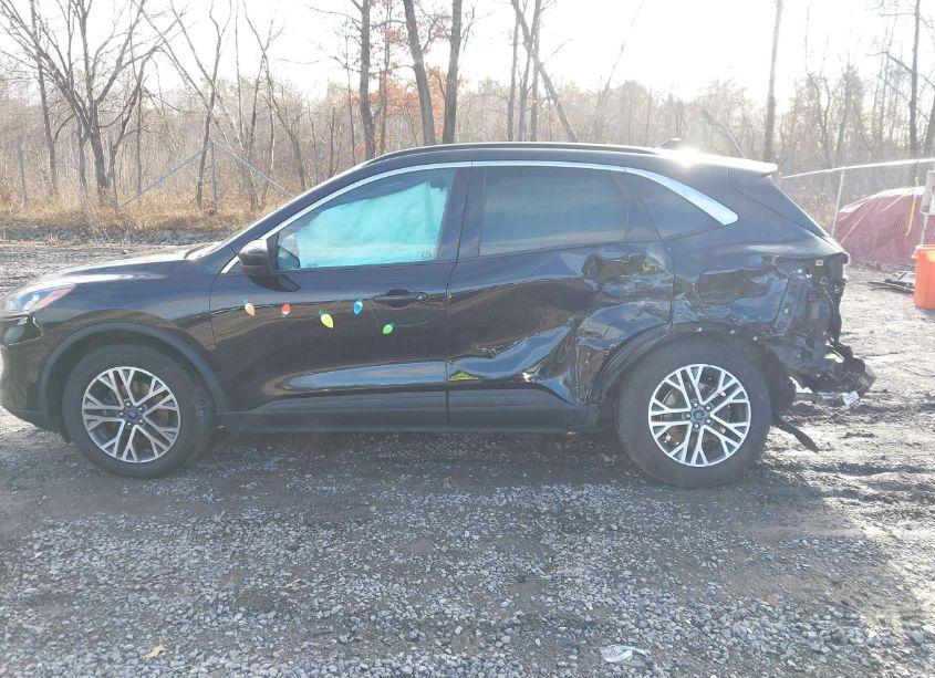 Photo 13 of 2021 Ford Escape SEL (VIN 1FMCU9H66MUA34923)