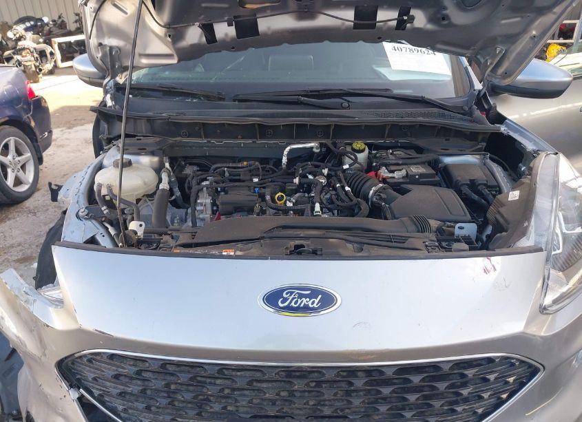 Photo 10 of 2022 Ford Escape SEL (VIN 1FMCU9H66NUA18058)