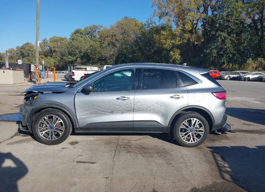 Photo 15 of 2022 Ford Escape SEL (VIN 1FMCU9H66NUA66840)