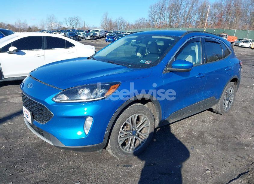 Photo 2 of 2020 Ford Escape SEL (VIN 1FMCU9H67LUB16979)