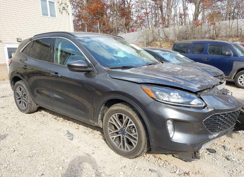 2020 Ford Escape SEL (VIN 1FMCU9H69LUA50452) main photo