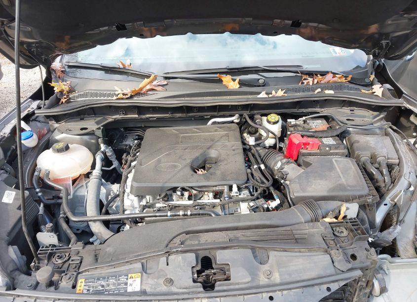 Photo 10 of 2020 Ford Escape SEL (VIN 1FMCU9H69LUA50452)