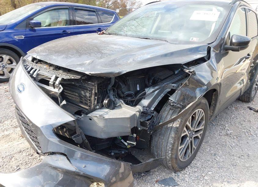 Photo 12 of 2020 Ford Escape SEL (VIN 1FMCU9H69LUA50452)