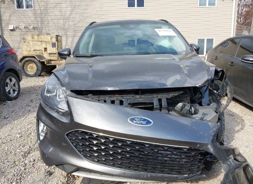 Photo 13 of 2020 Ford Escape SEL (VIN 1FMCU9H69LUA50452)