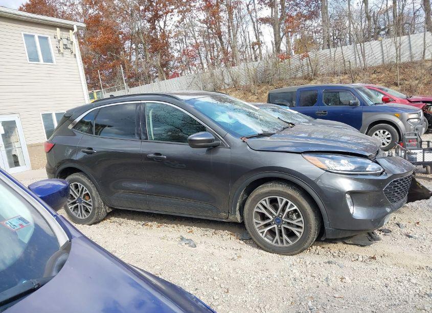 Photo 14 of 2020 Ford Escape SEL (VIN 1FMCU9H69LUA50452)