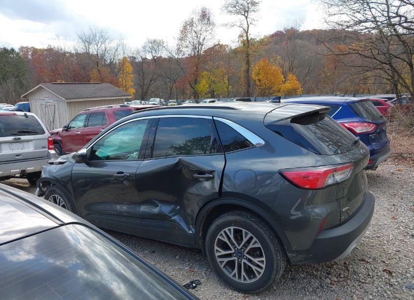 Photo 15 of 2020 Ford Escape SEL (VIN 1FMCU9H69LUA50452)