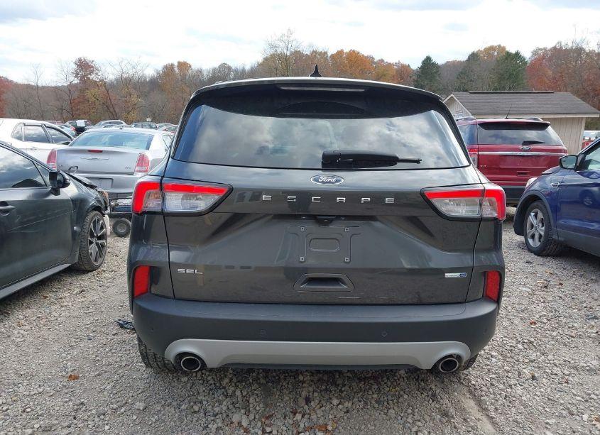 Photo 17 of 2020 Ford Escape SEL (VIN 1FMCU9H69LUA50452)