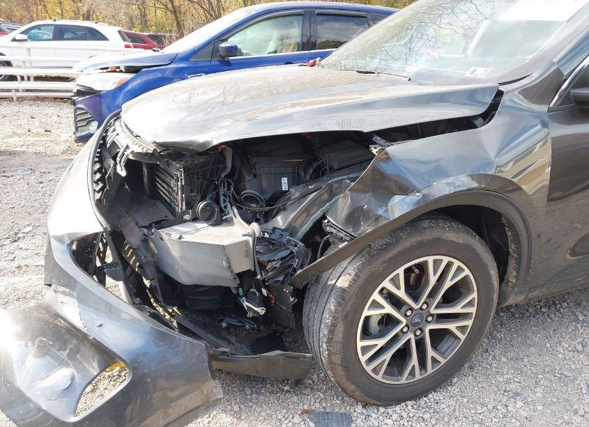 Photo 18 of 2020 Ford Escape SEL (VIN 1FMCU9H69LUA50452)