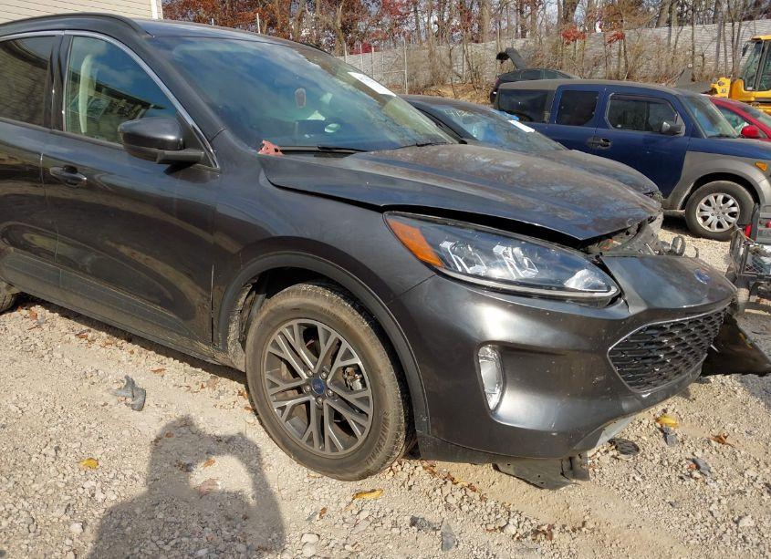 Photo 22 of 2020 Ford Escape SEL (VIN 1FMCU9H69LUA50452)