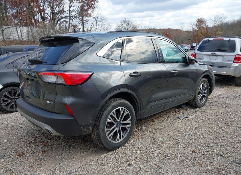 Photo 4 of 2020 Ford Escape SEL (VIN 1FMCU9H69LUA50452)