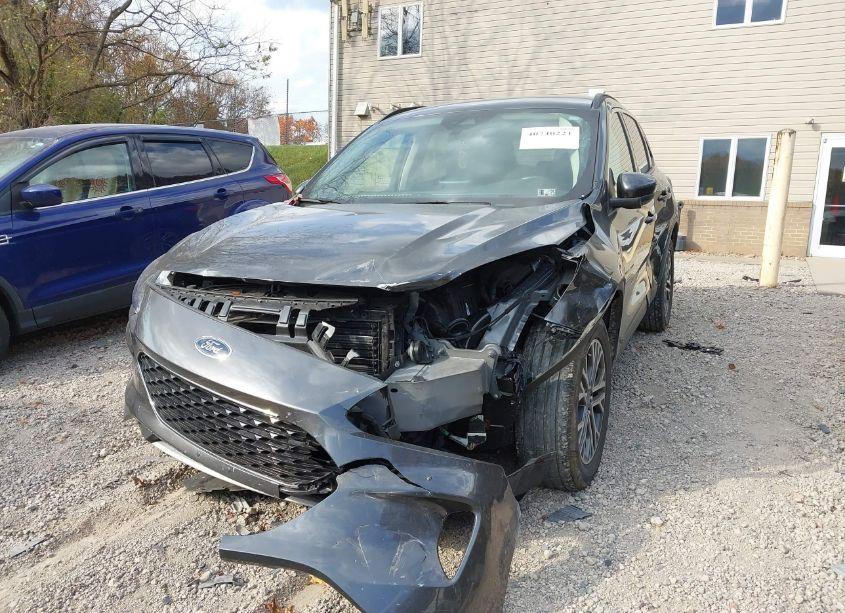 Photo 6 of 2020 Ford Escape SEL (VIN 1FMCU9H69LUA50452)