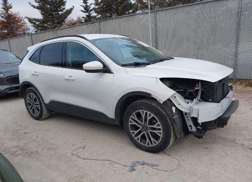 2020 Ford Escape SEL (VIN 1FMCU9H69LUA70684) main photo