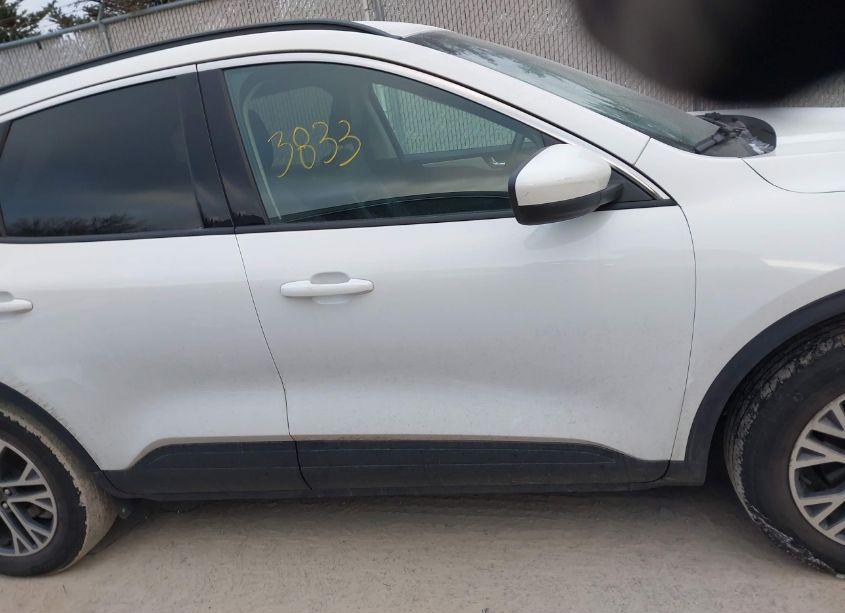 Photo 13 of 2020 Ford Escape SEL (VIN 1FMCU9H69LUA70684)