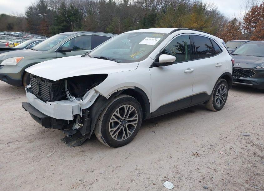 Photo 2 of 2020 Ford Escape SEL (VIN 1FMCU9H69LUA70684)