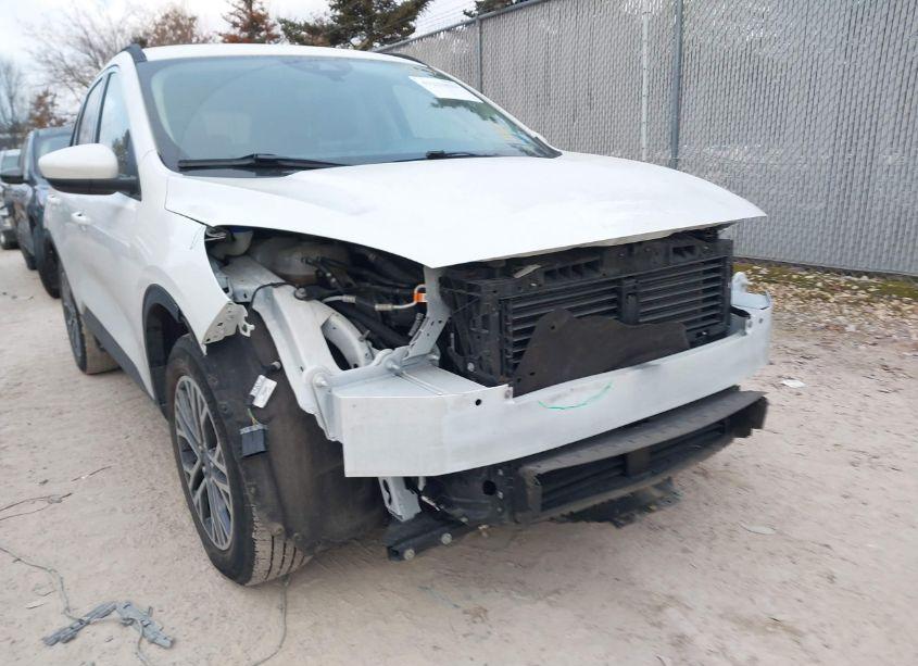 Photo 6 of 2020 Ford Escape SEL (VIN 1FMCU9H69LUA70684)