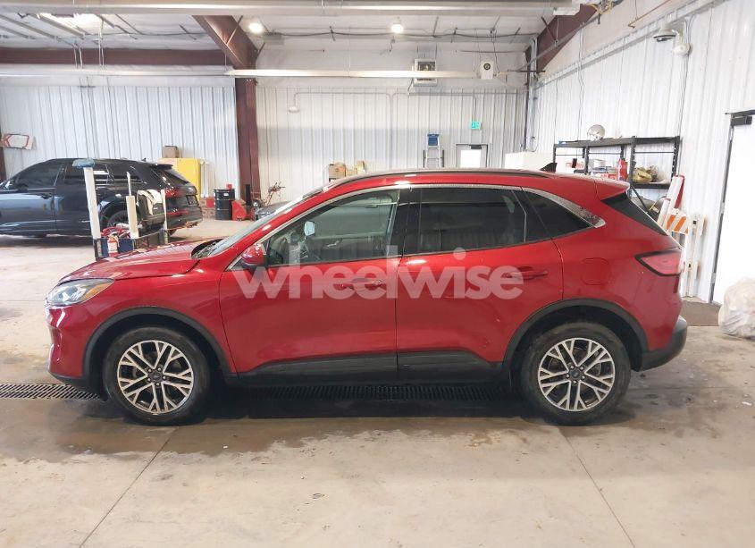 Photo 15 of 2020 Ford Escape SEL (VIN 1FMCU9H69LUB09807)