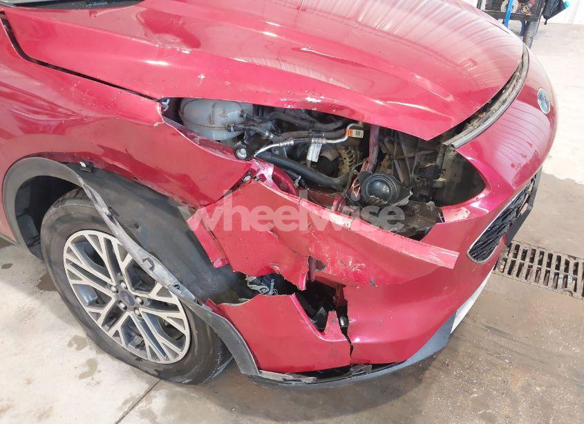 Photo 6 of 2020 Ford Escape SEL (VIN 1FMCU9H69LUB09807)