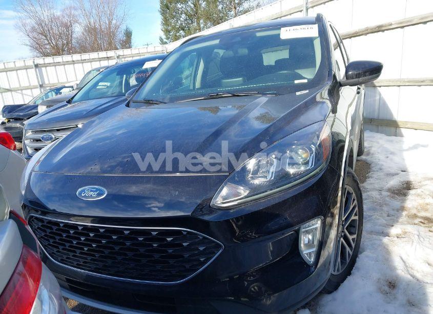 Photo 11 of 2020 Ford Escape SEL (VIN 1FMCU9H69LUB26722)