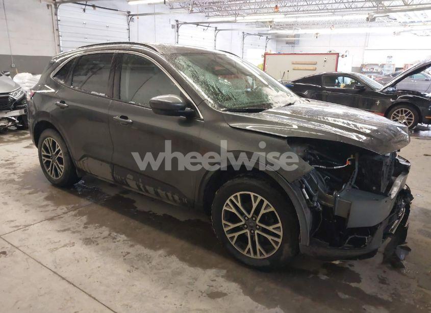 2020 Ford Escape SEL (VIN 1FMCU9H69LUB54844) main photo