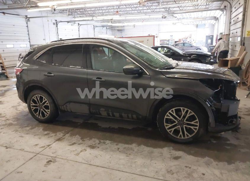 Photo 14 of 2020 Ford Escape SEL (VIN 1FMCU9H69LUB54844)