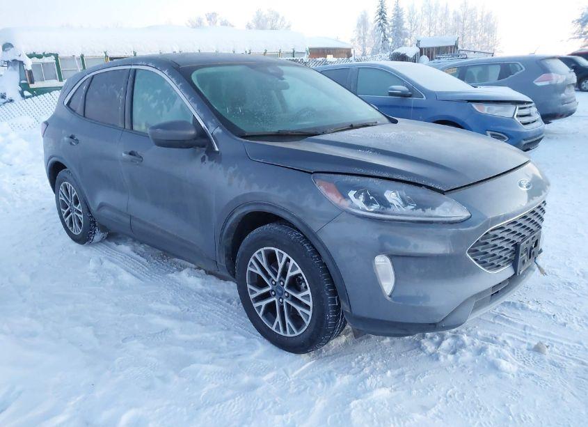 2022 Ford Escape SEL (VIN 1FMCU9H69NUA84104) main photo