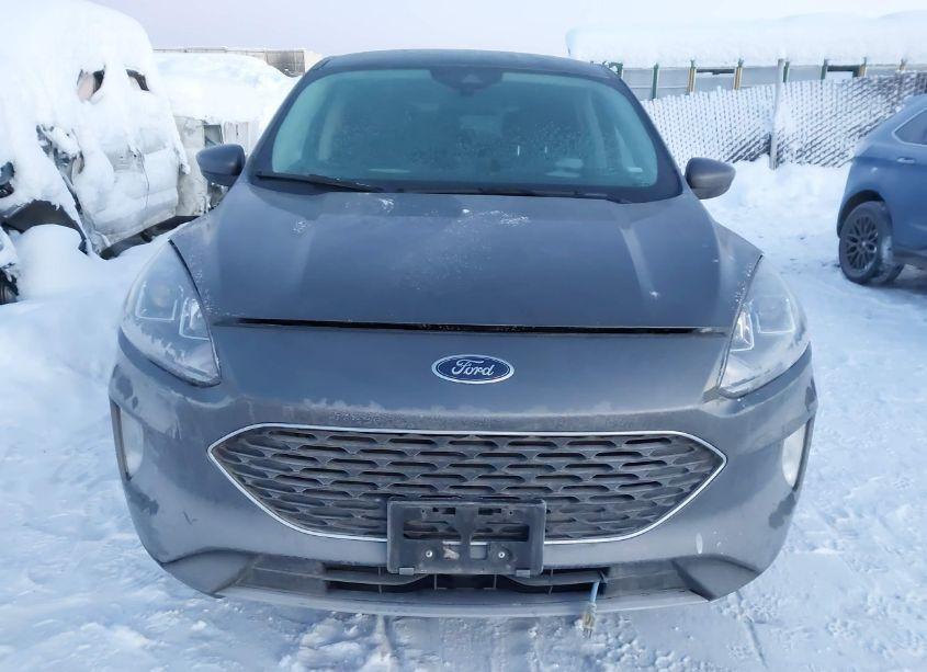 Photo 12 of 2022 Ford Escape SEL (VIN 1FMCU9H69NUA84104)
