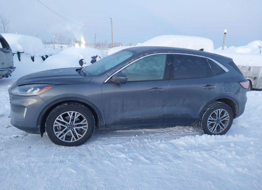 Photo 14 of 2022 Ford Escape SEL (VIN 1FMCU9H69NUA84104)